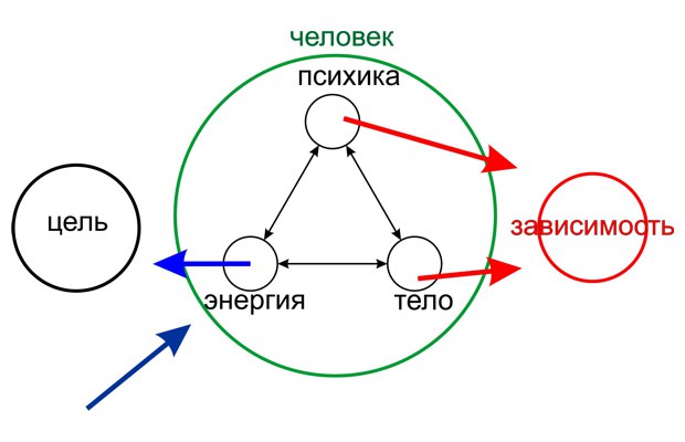 триединство зависимости